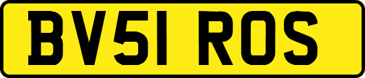 BV51ROS
