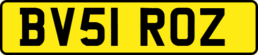BV51ROZ