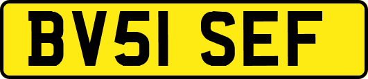 BV51SEF