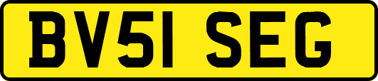 BV51SEG