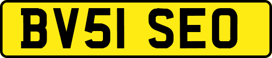 BV51SEO