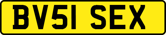 BV51SEX