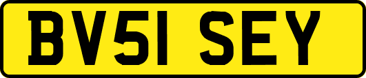 BV51SEY