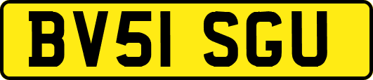 BV51SGU