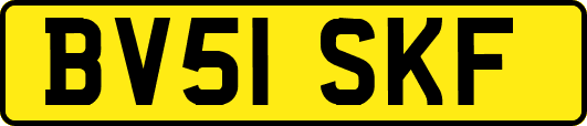 BV51SKF