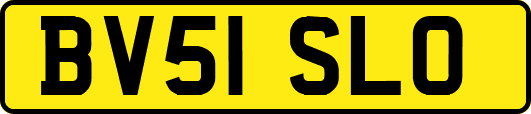 BV51SLO