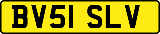 BV51SLV