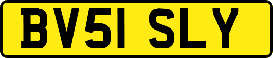 BV51SLY