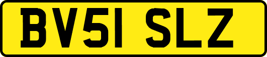 BV51SLZ