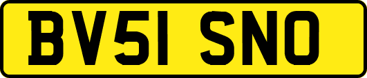 BV51SNO