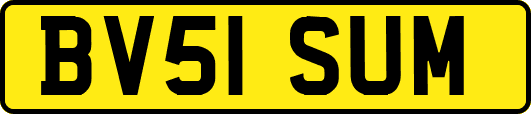 BV51SUM