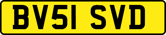 BV51SVD