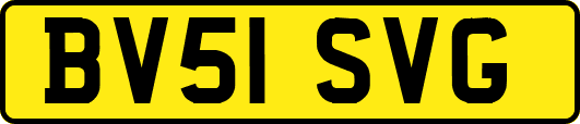 BV51SVG