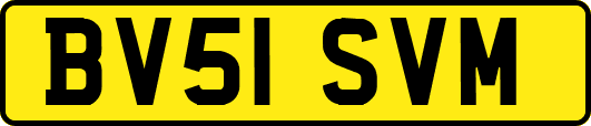 BV51SVM