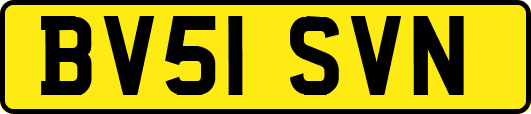 BV51SVN