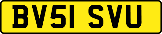 BV51SVU