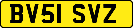 BV51SVZ