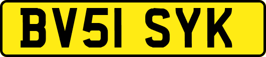BV51SYK