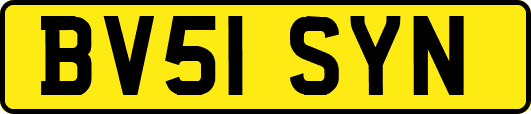 BV51SYN