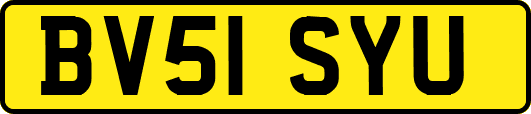 BV51SYU
