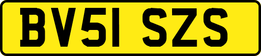 BV51SZS