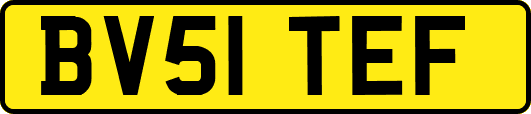 BV51TEF