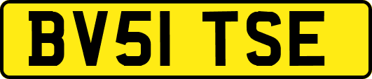BV51TSE