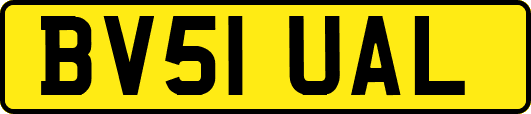 BV51UAL