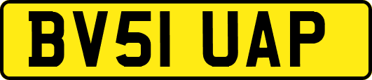 BV51UAP