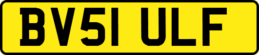 BV51ULF
