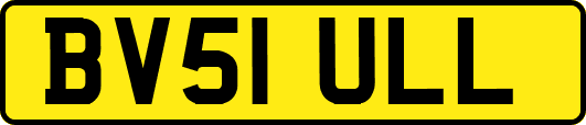 BV51ULL