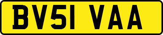 BV51VAA