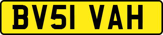BV51VAH