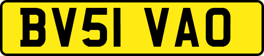 BV51VAO