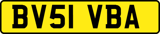 BV51VBA