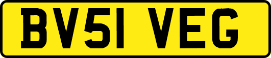 BV51VEG