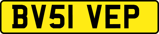 BV51VEP