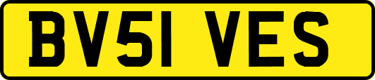 BV51VES