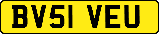 BV51VEU