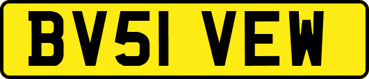 BV51VEW