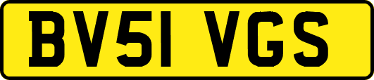 BV51VGS