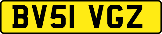 BV51VGZ