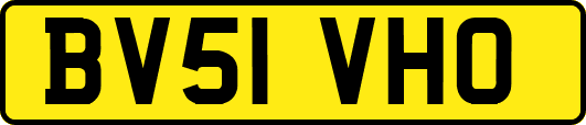 BV51VHO