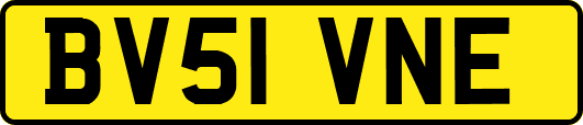 BV51VNE