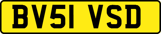 BV51VSD