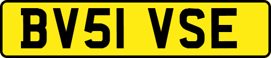BV51VSE