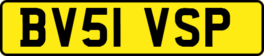 BV51VSP