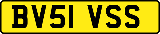 BV51VSS