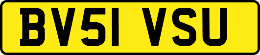 BV51VSU