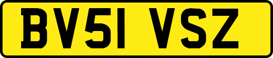 BV51VSZ